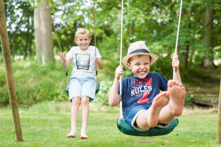 Gibbon Swings