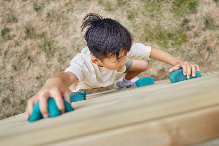 Plum Lookout Tower Playcentre with Monkey Bars | Wooden Adventure Playset for Kids